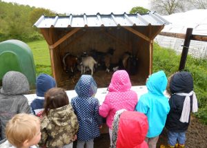 Activités du printemps