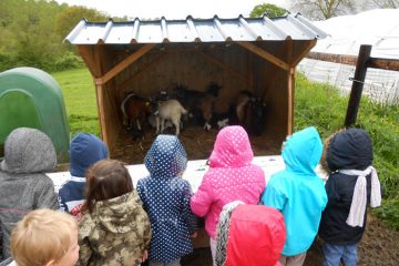 Activités du printemps