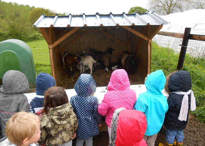 Activités du printemps